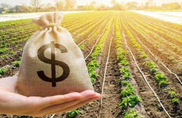 USD28m for Prince Edward Island Potato Producers Impacted by Trade Disruptions