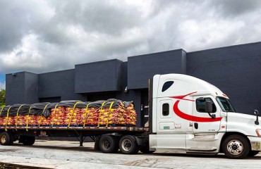 Abrupt Chilean Potato Exports Decrease in 2021