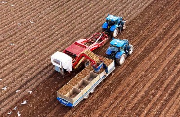 2021: NRW Growers Harvested 13.3% More Potatoes Than Last Year