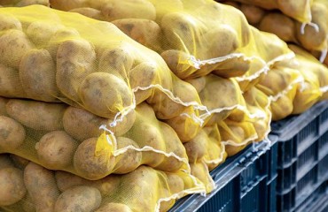 Uzbekistan Could Become the Fifth Largest Potato Importer This Year