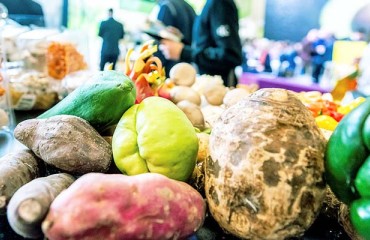 Messe Berlin Decides to Postpone Fruit Logistica