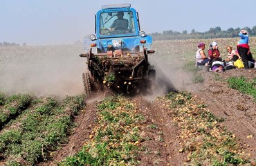 Ukraine to Negotiate Spud Exports to EU