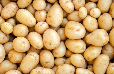 Fresh Yellow Potato Sector Has a Growth Trend ‘Unlike Any Other'