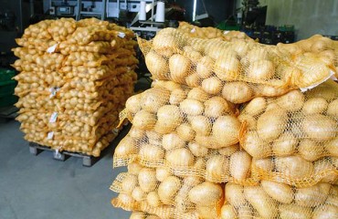 Kazakhstan Bans Potato Exports