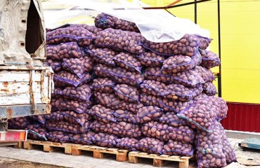 US Northwest Potato Stocks Counted 9,24m Tons in December 2021