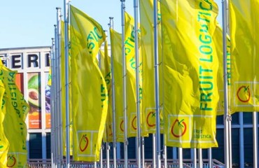 The European Statistics Handbook 2022 has been Released by Fruit Logistica