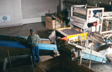 Raynbow: The Optical Sorter for Freshly Harvested Potatoes