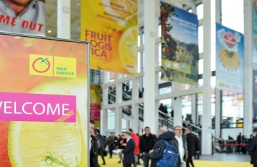 Fruit Logistica 2022 Reveals Visitor Access Conditions