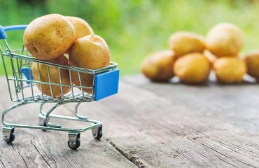 Potatoes Become Aussie’s New Favorite Shopping Item