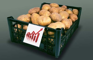 2021 US Potato Sales Bigger than Pre-pandemic Levels