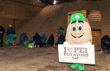 US Authorities Decided That the Trade of PEI Table Stock Potatoes Can be Done Safely