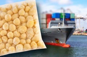 The European Potato Market is Eclipsed by the War in Ukraine