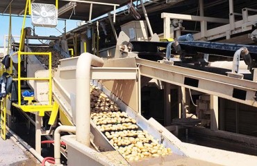 Project Management in Spud Processing Enables Manufacturers to Innovate
