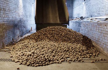 Canadian Potato Storage Holdings are Still High