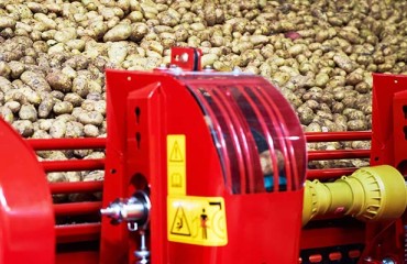 Experts' Predictions on How the European Potato Market Will Change