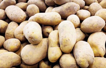 No Forward Prices for European Potatoes