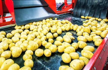 Power and Control Features in Potato Conveying Systems