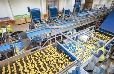 Pre-cleaning, Washing, Destoning: Balancing Crop Protection and Efficiency