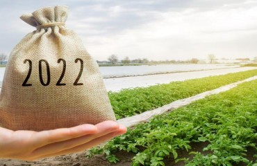 GB Potatoes to Soon Be Functional