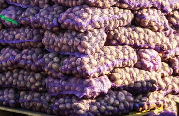 US Spud Stocks on Hand Went Up 3% on April 1