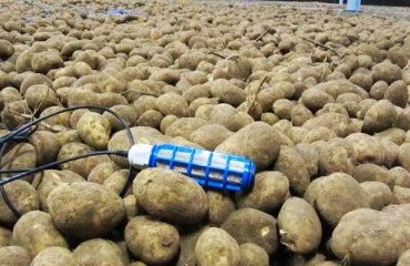 Proper Management of Store CO2 is Critical for Keeping Spud Processing Quality