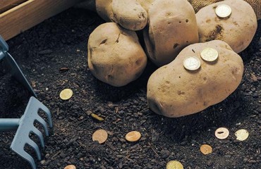 Fewer US Spuds, Higher Prices in the Third Quarter of the 2022 Marketing Year