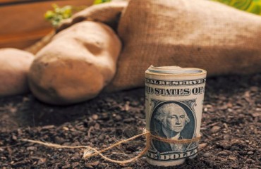 First Shipments of US Fresh Potatoes Crossed Into Mexico in 25-plus Years