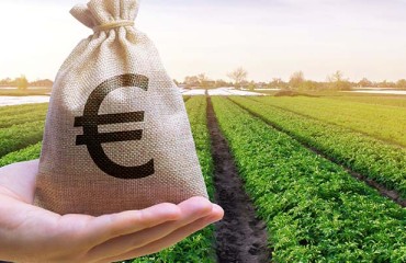 The Potato Market in the EU Shows Slow Improvement