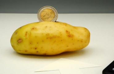 Millions of Euros for The Irish Potato Growers