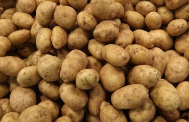 Values in the Fresh Potato Market are Holding Steady