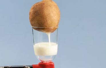 A Way to Create Eco-friendly Plastic From Potato Waste