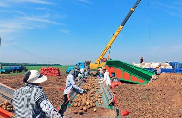 The Chinese Fresh, Refrigerated and Processed Spuds April 2022 Exports Assessment