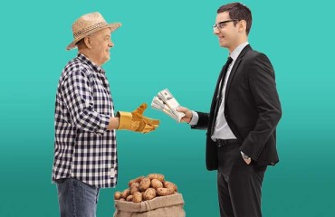 Rising Costs of Inputs Boosted The Mintec Benchmark Prices of Processing Potatoes in Belgium
