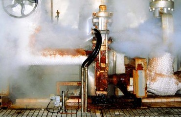Heating Belgian Houses More Environmentally Efficient Through Potato Processing