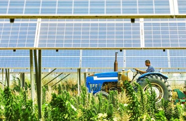 Finding Alternative Ways of Powering the Agri-food Chain