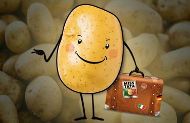 A New Campaign for Portuguese Potato Consumption