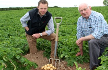 The Early Potato Crops in Northern Ireland Appear to Be Promising