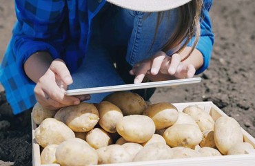 Leveraging Data Analytics Software to Better Understand Product Quality