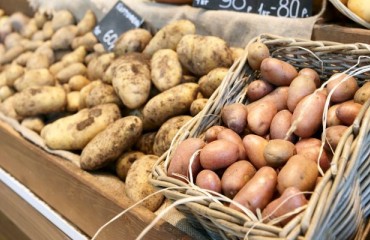 Russian Potato Acquisitions Led to Georgian Market High Prices