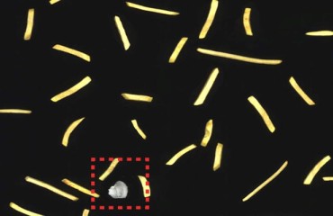 AI-driven FM Alert software for Key Technology’s Digital Sorting Systems