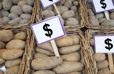 Reasons for High Fresh and Processing Potato Prices