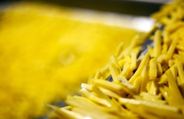 McCain Foods Ltd. Sold Its Russian Potato Production Facility