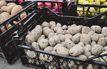 Georgian Potato Prices Have Plummeted