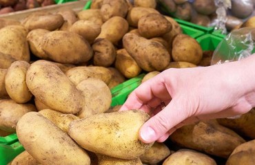 The Novel Focus of the European Processing Spuds Buyers