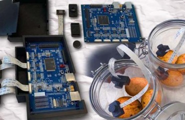 Biological Sensor for Early Detection of Hidden Disease in Potato Tubers