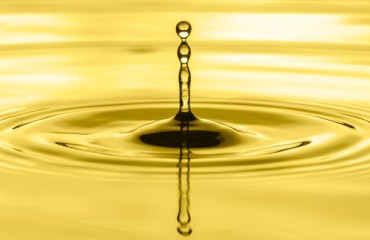 Novel OLICO Fryer Oils Designed Specifically for the Foodservice Industry