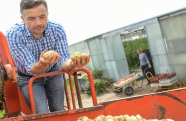 Aussie Farmers versus Processors in the Big Potato Price Battle