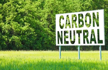 Growing Carbon-neutral Spuds Using Cover Crops and Crop Rotation