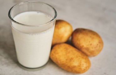 The Potato Protein as a Key Functional Ingredient in the Ongoing Plant-based Movement