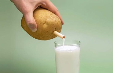 Raw Idaho Grown Taters to Become ‘Tatorade Sports Milk’